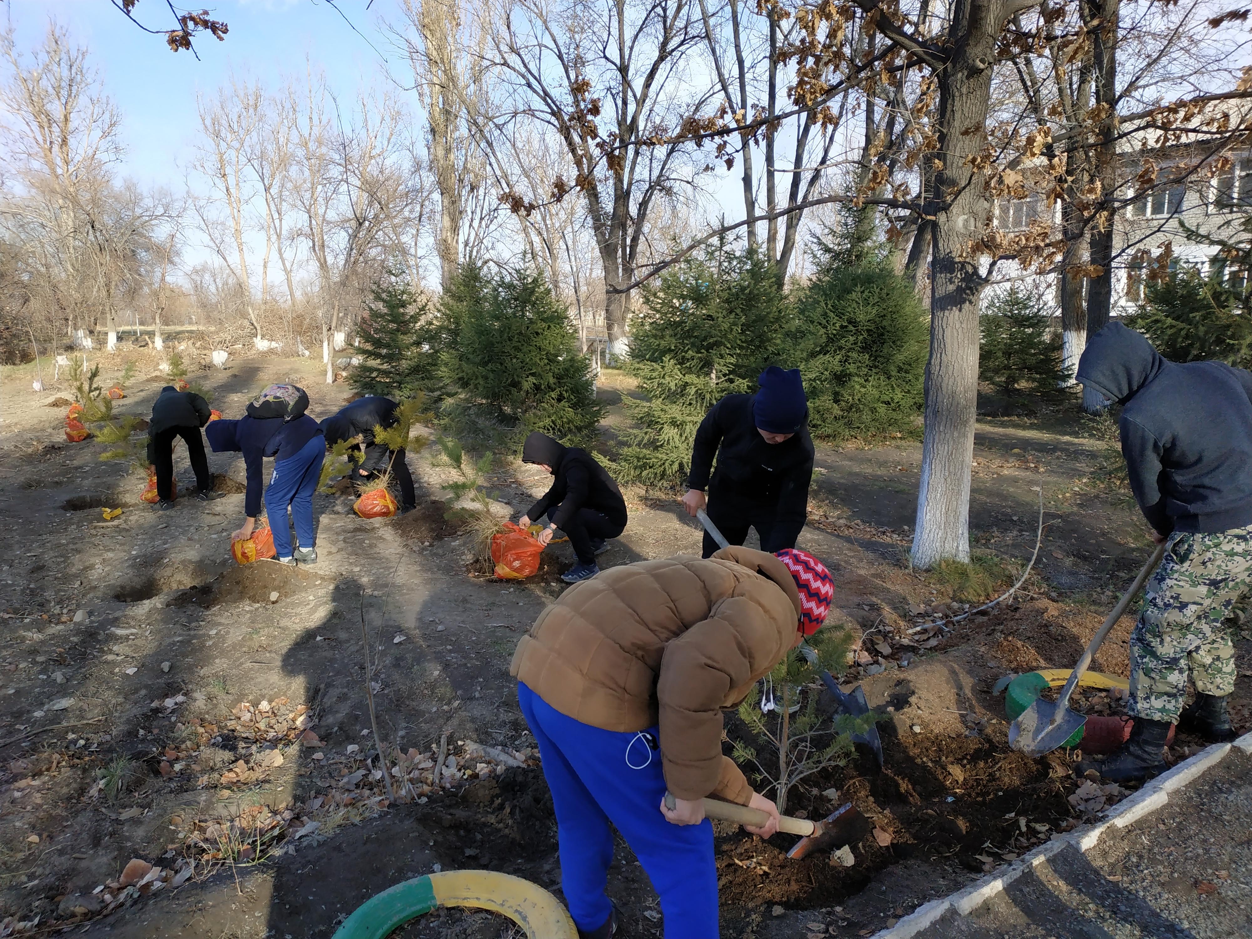 "Ж.Сыдықов атындағы орта мектебі,МДШО" КММ-нің алдына 20 қарағай ағашы, 20 жеміс ағашы отырғызылды.