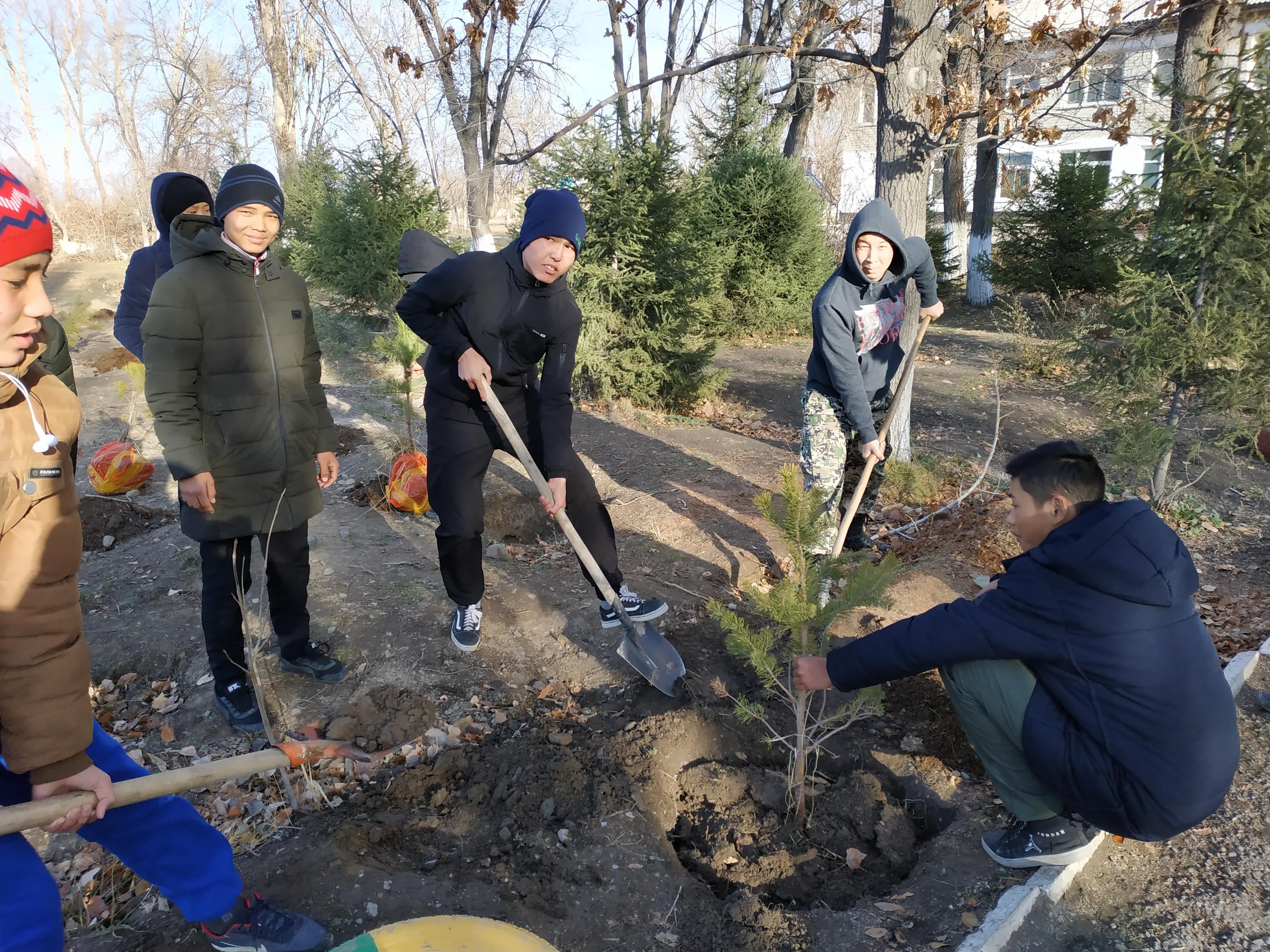 "Ж.Сыдықов атындағы орта мектебі,МДШО" КММ-нің алдына 20 қарағай ағашы, 20 жеміс ағашы отырғызылды.